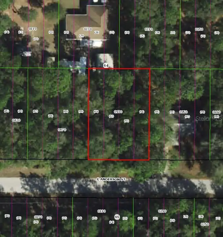 3301 E Anderson Street, Inverness, FL 34453 - #1
