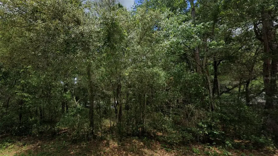 3301 E Anderson Street, Inverness, FL 34453 - #3