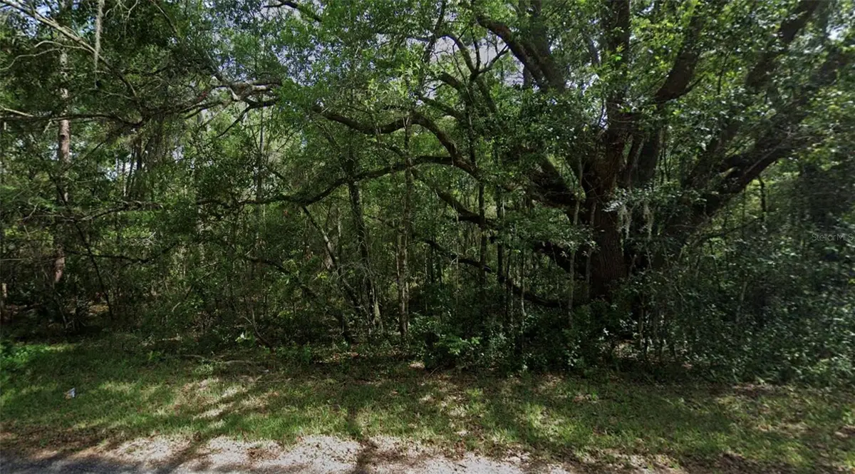 3958 E Ryan Street, Inverness, FL 34453 - #1