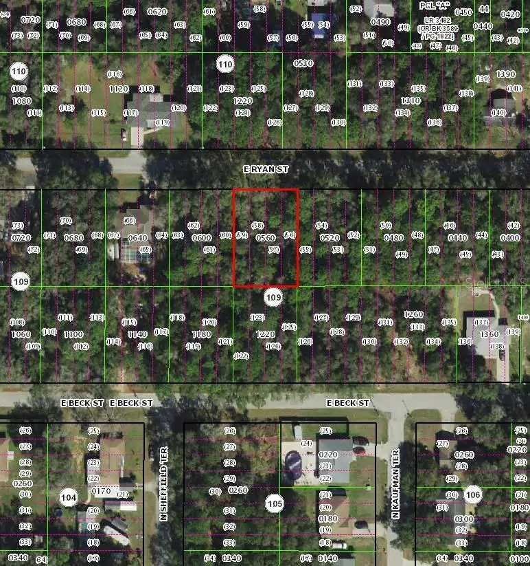 3958 E Ryan Street, Inverness, FL 34453 - #3