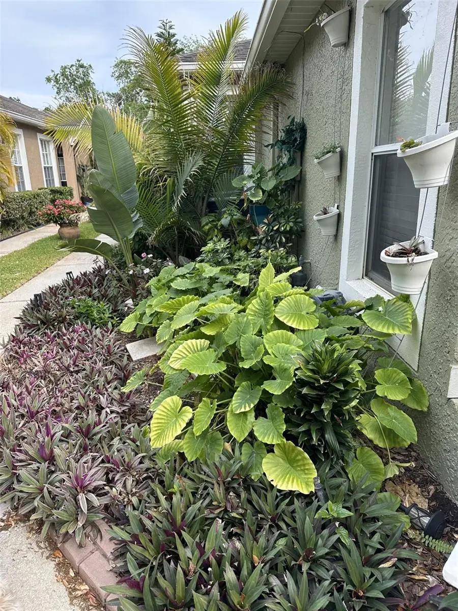 19113 Doves Landing Drive, Tampa, FL 33647 - #2