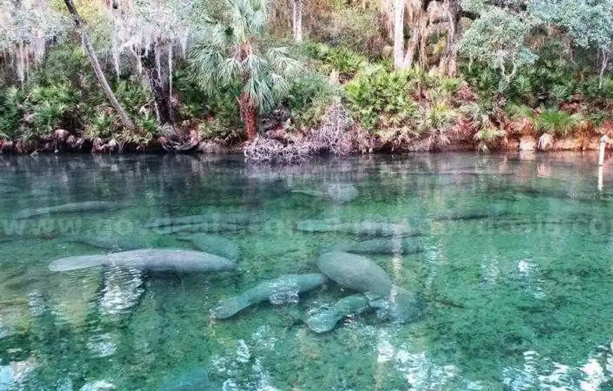 1 Werley Trail, Deland, FL 32720 - #1