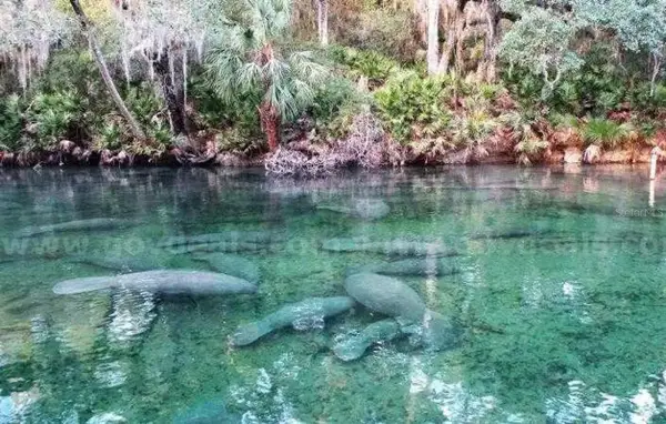 1 Werley Trail, DELAND, FL 32720