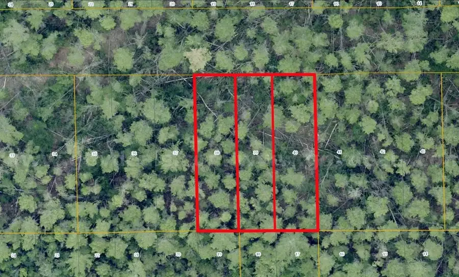 1 Werley Trail, Deland, FL 32720 - #3