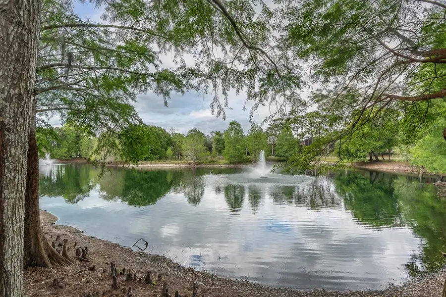 2217 Tuscany Trace #188, Palm Harbor, FL 34683 - #3