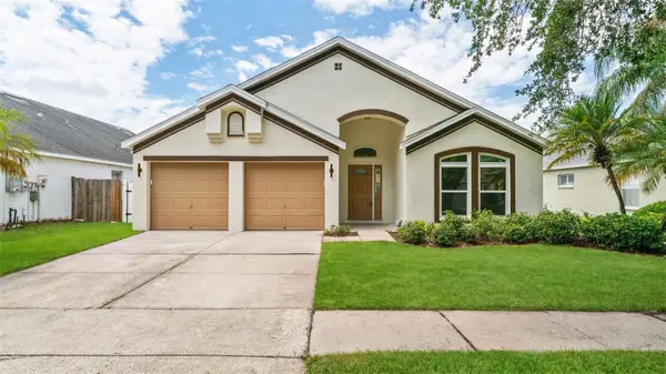 11708 Carrollwood Cove Drive, TAMPA, FL 33624