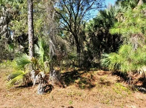 Lot 20 Blk 1749 34th Add To Port Charlotte, North Port, FL 34288 - #2