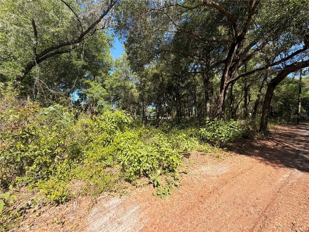 10185 Creekfield Road, Brooksville, FL 34613 - #1