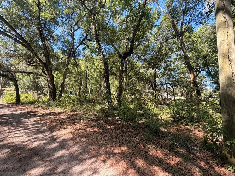 10185 Creekfield Road, Brooksville, FL 34613 - #2