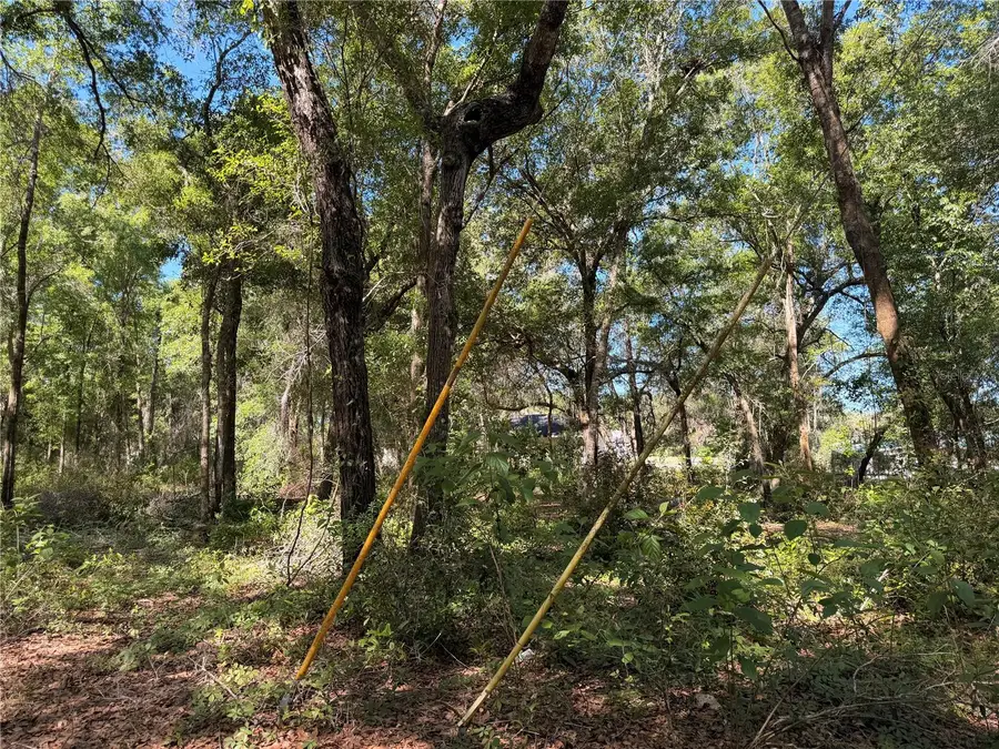 10185 Creekfield Road, Brooksville, FL 34613 - #3