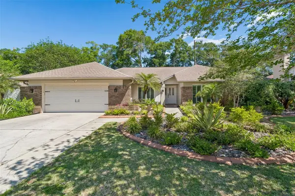 3319 Cheviot Drive, TAMPA, FL 33618