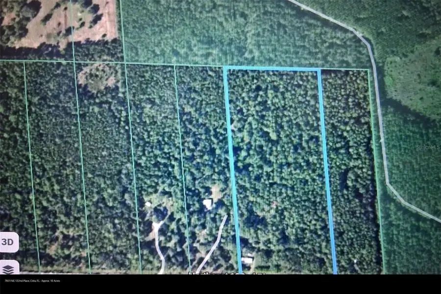 7831 NE 132nd Place, Citra, FL 32113 - #2