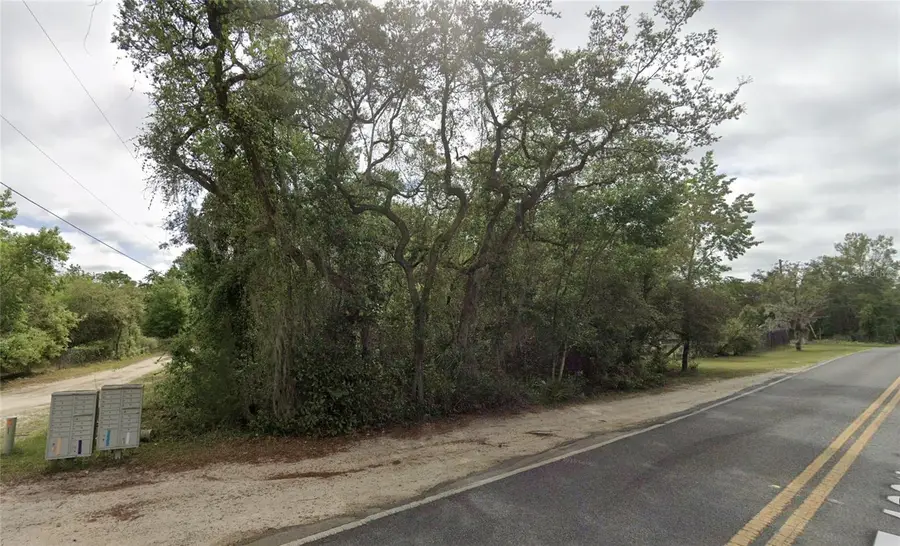 NE 154th Place, Fort McCoy, FL 32134 - #3