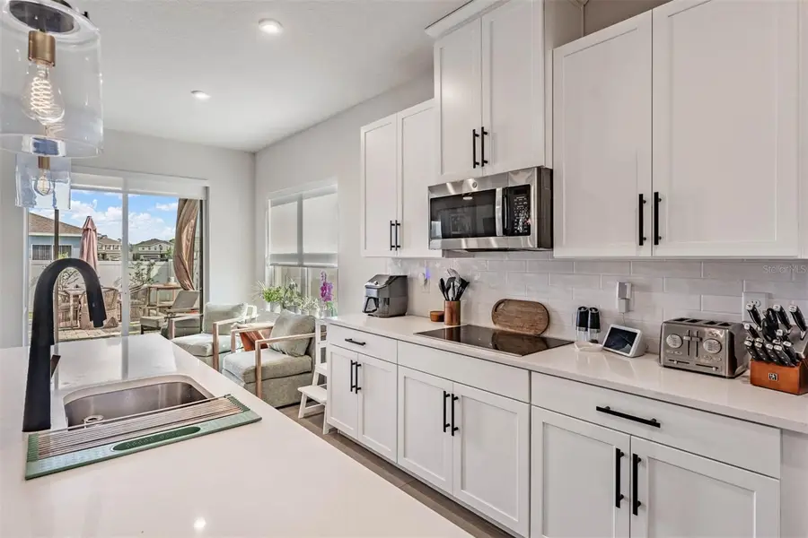 29345 Meadowcroft Avenue, Wesley Chapel, FL 33544 - #3