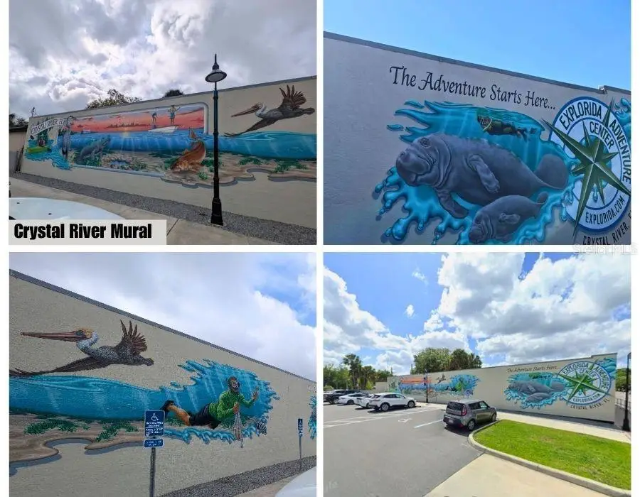 9421 N Beechtree Way, Crystal River, FL 34428 - #2