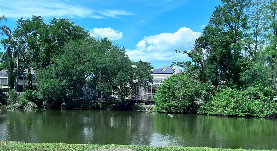 2219 Alice Lane, Clearwater, FL 33764 - #2