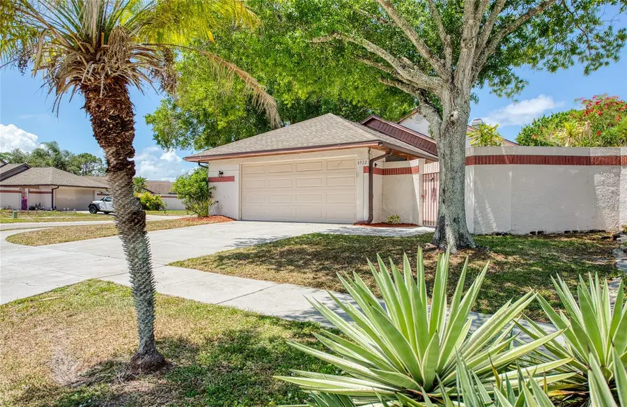 6922 Silvermill Drive, Tampa, FL 33635 - #2