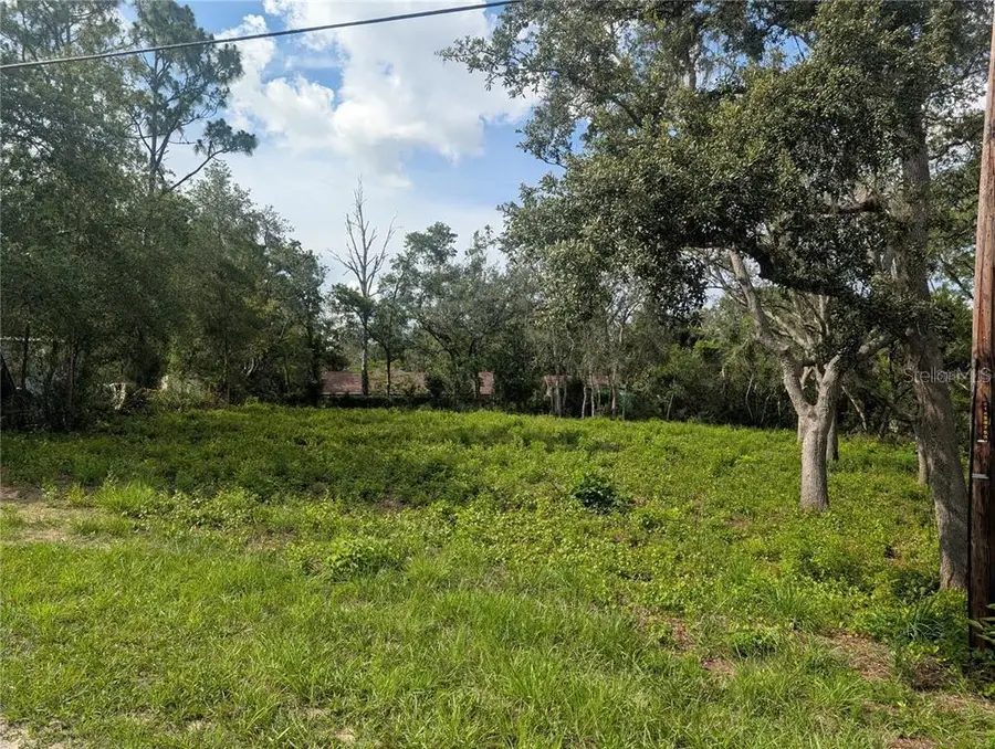 0 Merlin Circle, Dade City, FL 33523 - #2