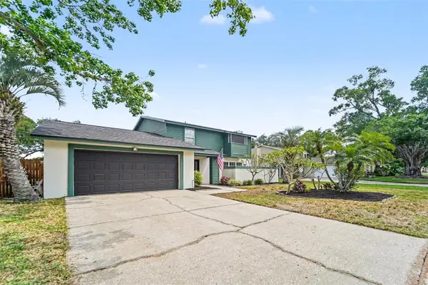 16213 Fantasia Drive, TAMPA, FL 33624