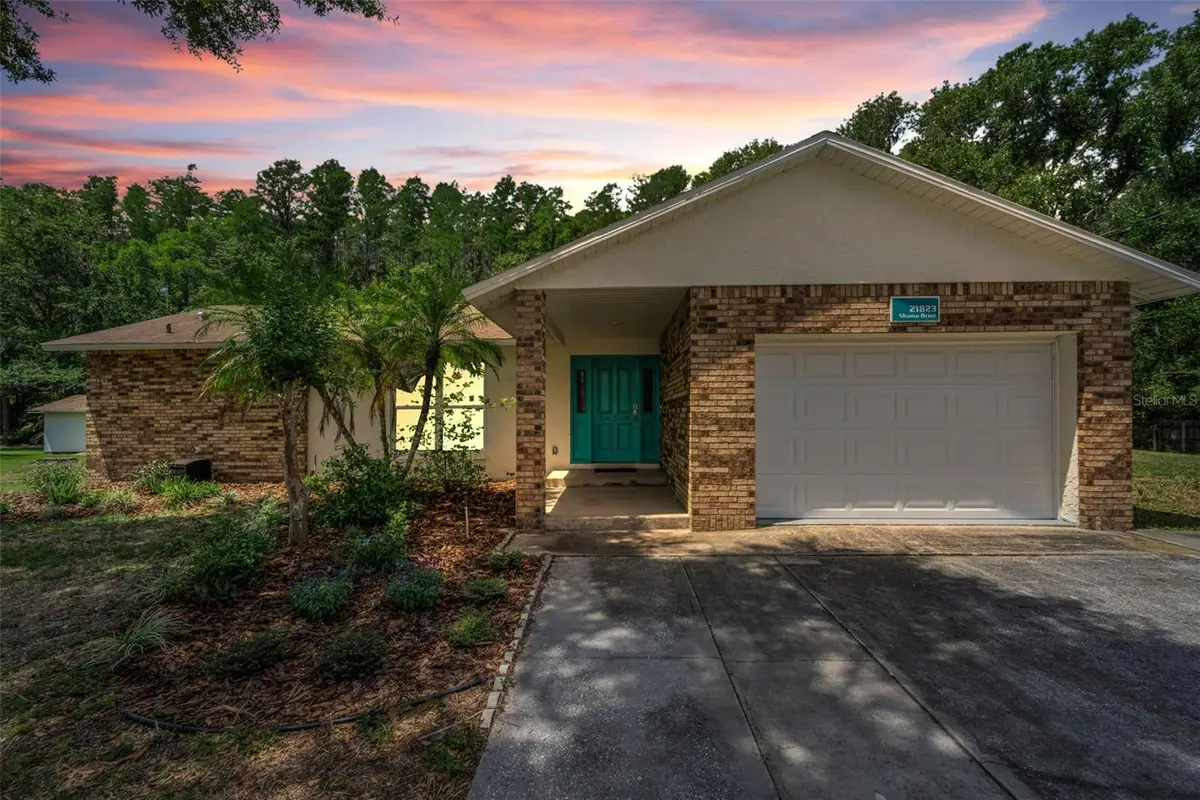 21823 Shamu Drive, Land O Lakes, FL 34639 - #1