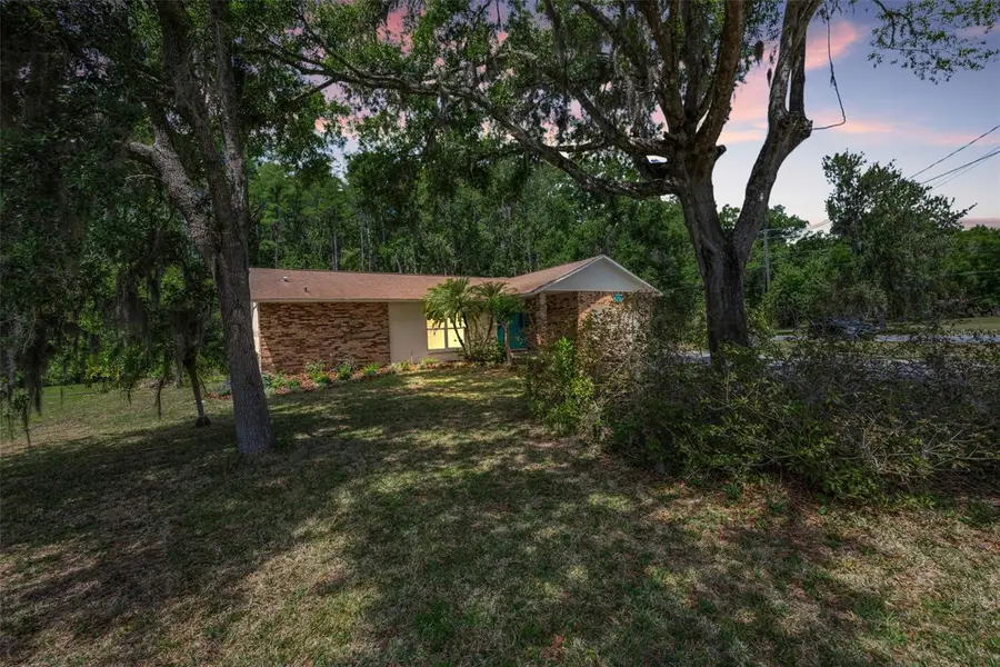 21823 Shamu Drive, Land O Lakes, FL 34639 - #2