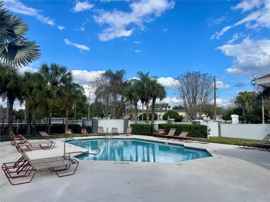 29916 Alta Vita Lane, Wesley Chapel, FL 33543 - #3