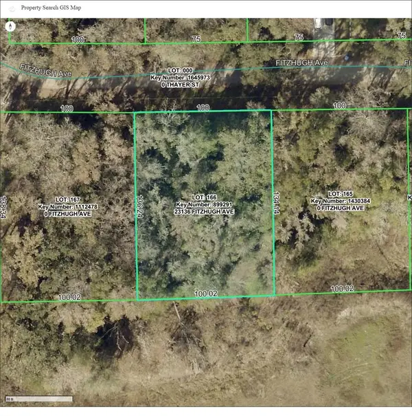 23136 Fitzhugh Avenue, BROOKSVILLE, FL 34601