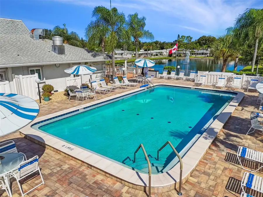 133 Cedar Drive, Palm Harbor, FL 34684 - #2