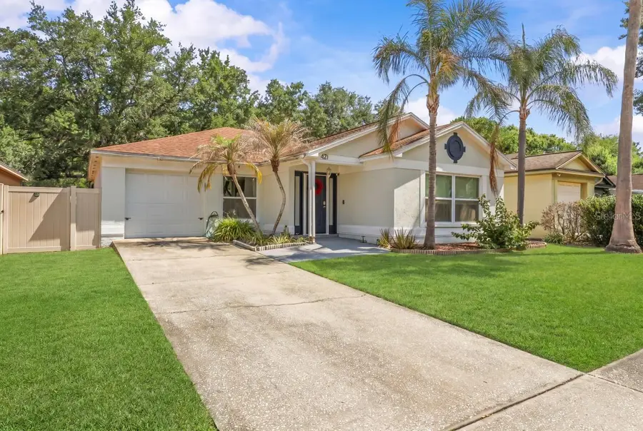 421 Benson Street, Valrico, FL 33594 - #2