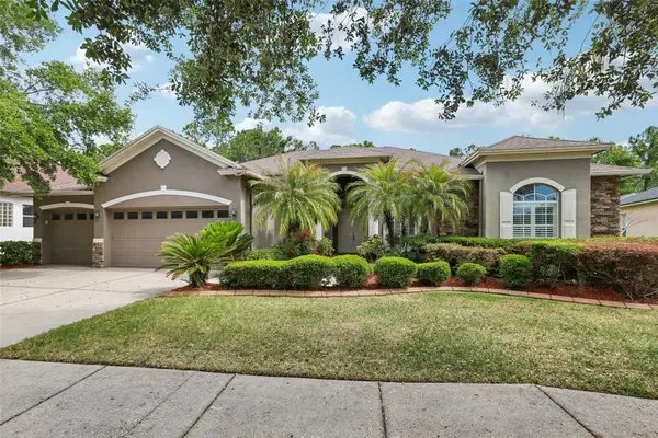 20639 Longleaf Pine Avenue, TAMPA, FL 33647