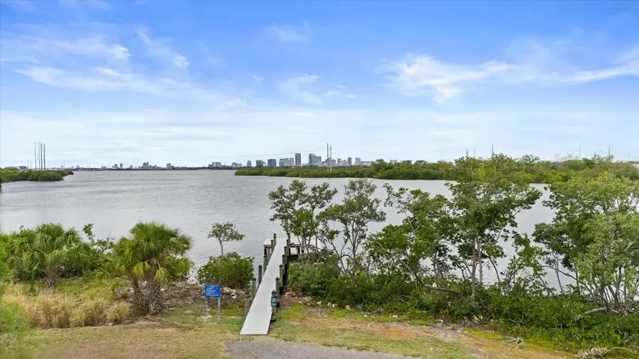 4405 Tuscan Loon Drive, Tampa, FL 33619 - #2