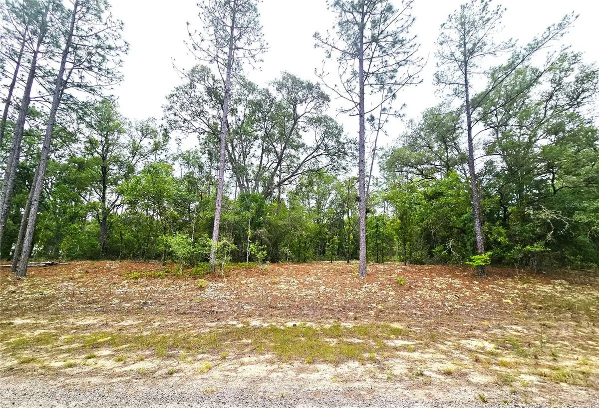 576 E Nemo Drive, Dunnellon, FL 34434 - #1