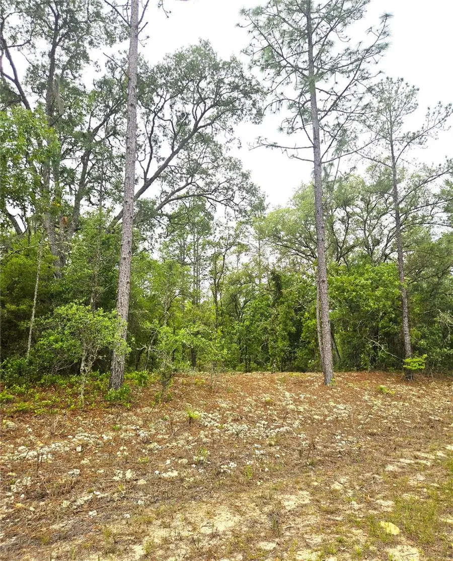 576 E Nemo Drive, Dunnellon, FL 34434 - #2