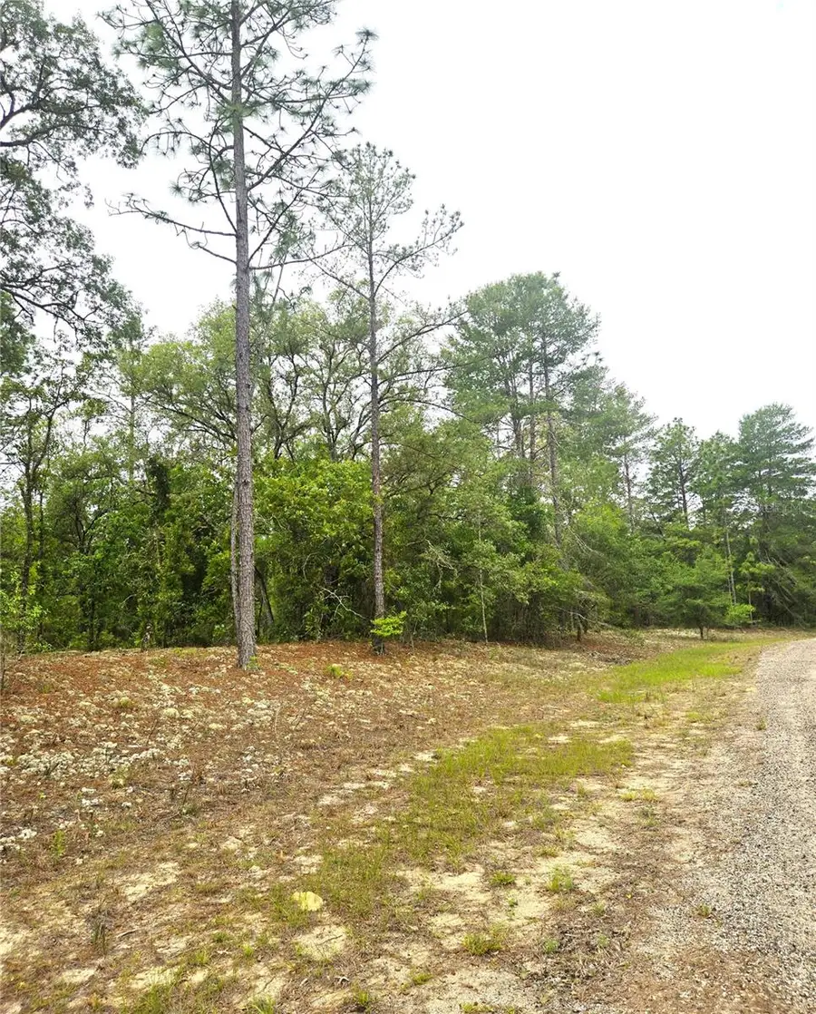 576 E Nemo Drive, Dunnellon, FL 34434 - #3