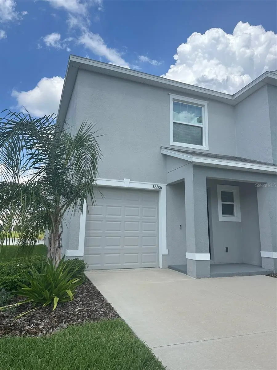 32206 Turtle Grace Loop, Wesley Chapel, FL 33545 - #2