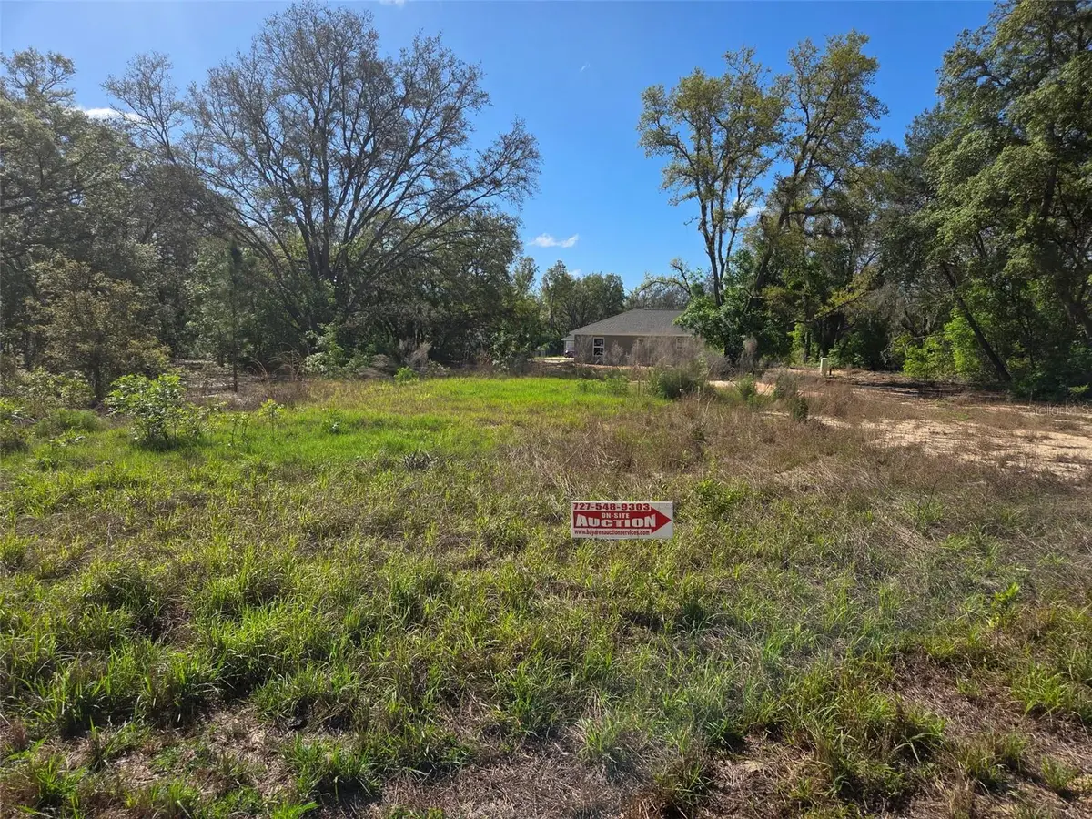 26 Fisher Way Trl, Ocklawaha, FL 32179 - #1