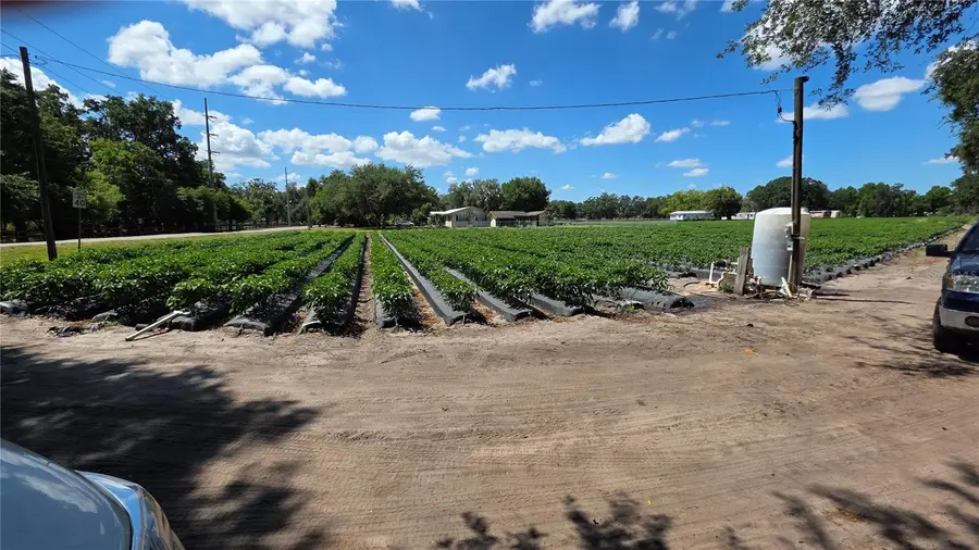 Gallagher Road, Dover, FL 33527 - #2