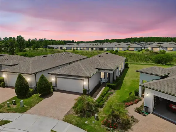 5695 Bay Tide Court, LAND O LAKES, FL 34638
