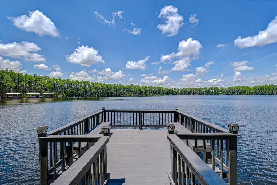 20915 Lake Vienna Drive, Land O Lakes, FL 34638 - #3