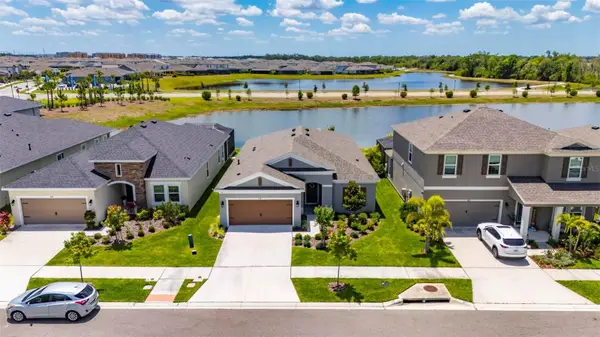 6081 Hidden Branch Drive, APOLLO BEACH, FL 33572