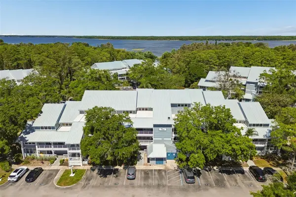 2599 Dolly Bay Drive #302, PALM HARBOR, FL 34684