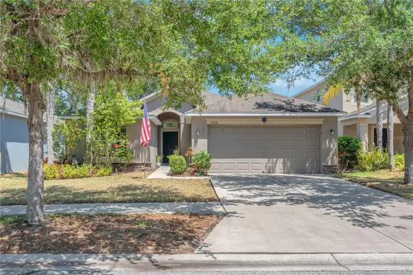10510 Summer Azure Drive, RIVERVIEW, FL 33578