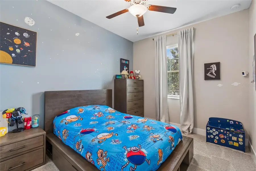 9911 Campanula Court, Land O Lakes, FL 34637 - #3