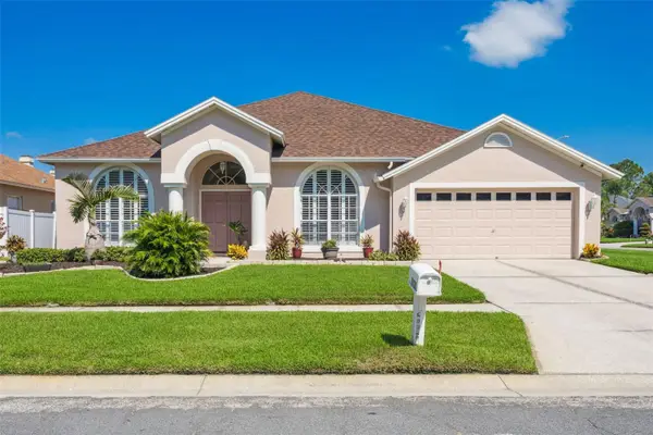 10020 Cypress Shadow Avenue, TAMPA, FL 33647