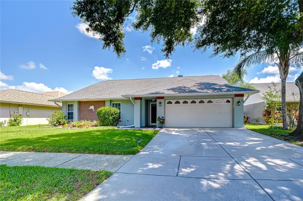 1428 Shell Flower Drive, BRANDON, FL 33511