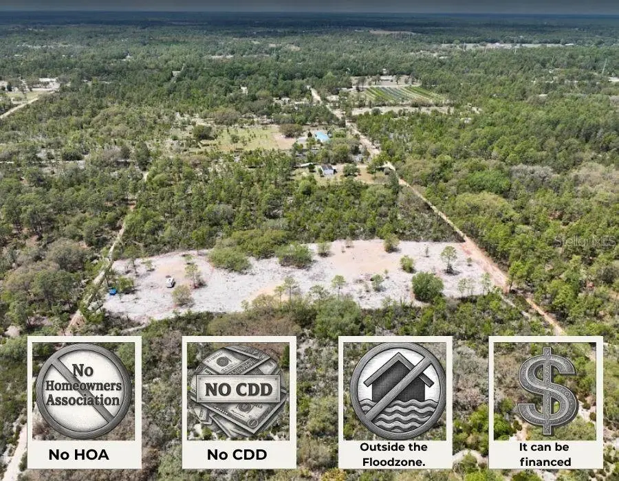 NE 56th Street, Bronson, FL 32621 - #2