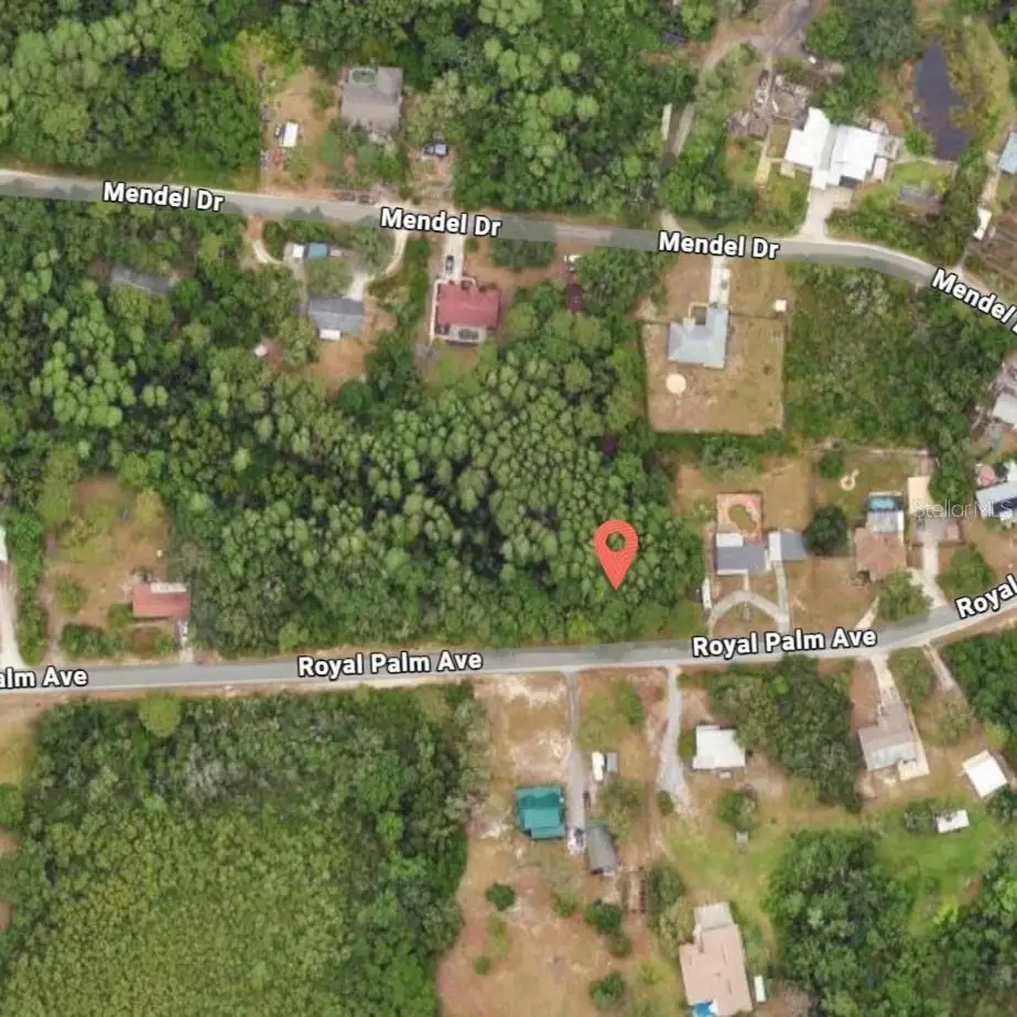 9805 Royal Palm Avenue, New Port Richey, FL 34654 - #1