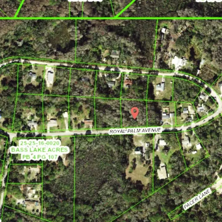 9805 Royal Palm Avenue, New Port Richey, FL 34654 - #2