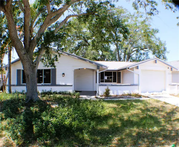 3507 Landale Drive, HOLIDAY, FL 34691