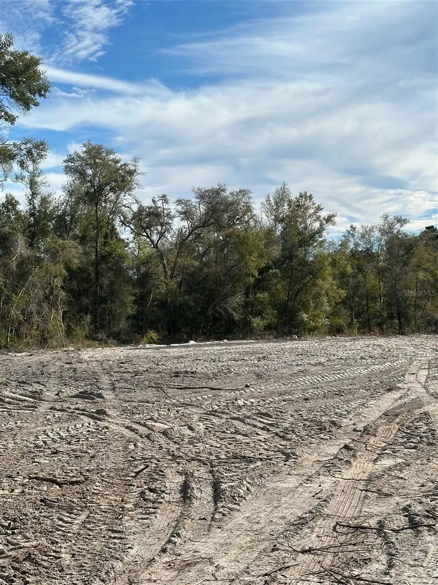 Berryhill Drive, Webster, FL 33597 - #3